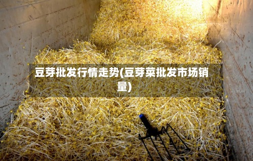 豆芽批发行情走势(豆芽菜批发市场销量)