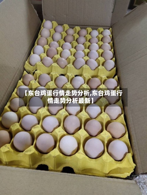 【东台鸡蛋行情走势分析,东台鸡蛋行情走势分析最新】-第2张图片
