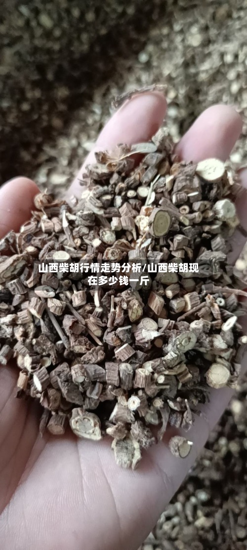 山西柴胡行情走势分析/山西柴胡现在多少钱一斤