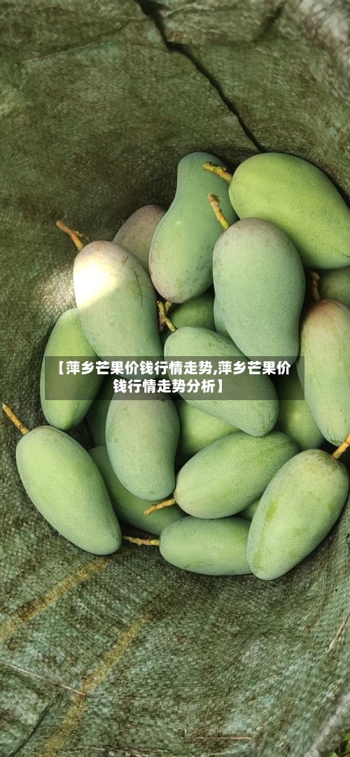【萍乡芒果价钱行情走势,萍乡芒果价钱行情走势分析】