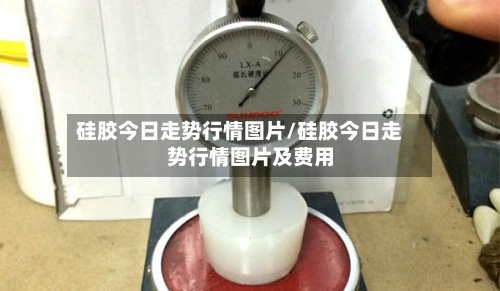 硅胶今日走势行情图片/硅胶今日走势行情图片及费用-第3张图片