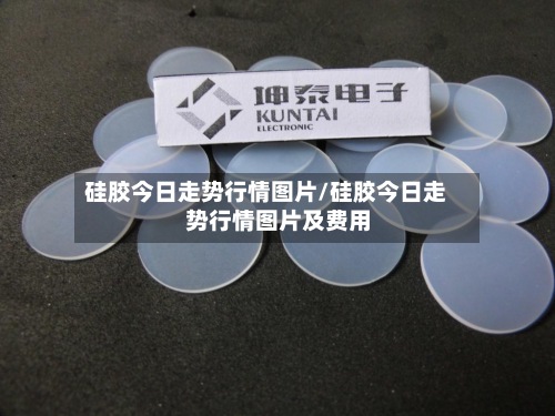 硅胶今日走势行情图片/硅胶今日走势行情图片及费用-第2张图片
