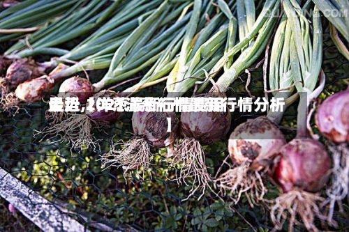 最近【洋葱最新行情费用走势,2021洋葱行情最新行情分析】-第2张图片