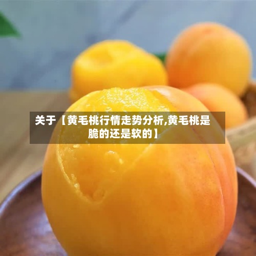 关于【黄毛桃行情走势分析,黄毛桃是脆的还是软的】