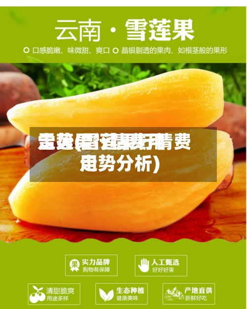 雪莲果行情费用走势(雪莲果行情费用走势分析)-第2张图片