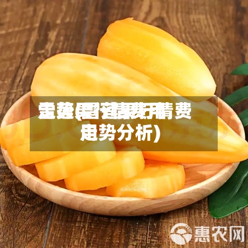 雪莲果行情费用
走势(雪莲果行情费用
走势分析)
