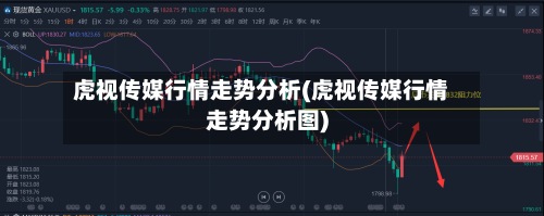 虎视传媒行情走势分析(虎视传媒行情走势分析图)-第2张图片