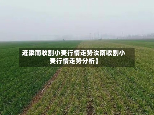 近来【汝南收割小麦行情走势汝南收割小麦行情走势分析】-第2张图片