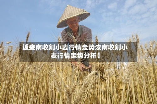 近来【汝南收割小麦行情走势汝南收割小麦行情走势分析】-第3张图片
