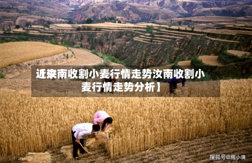 近来【汝南收割小麦行情走势汝南收割小麦行情走势分析】