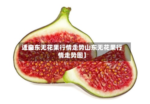 近来【山东无花果行情走势山东无花果行情走势图】