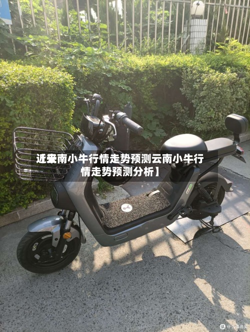 近来
【云南小牛行情走势预测云南小牛行情走势预测分析】