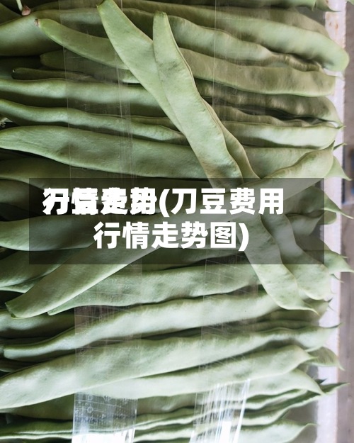 刀豆费用行情走势(刀豆费用行情走势图)-第2张图片