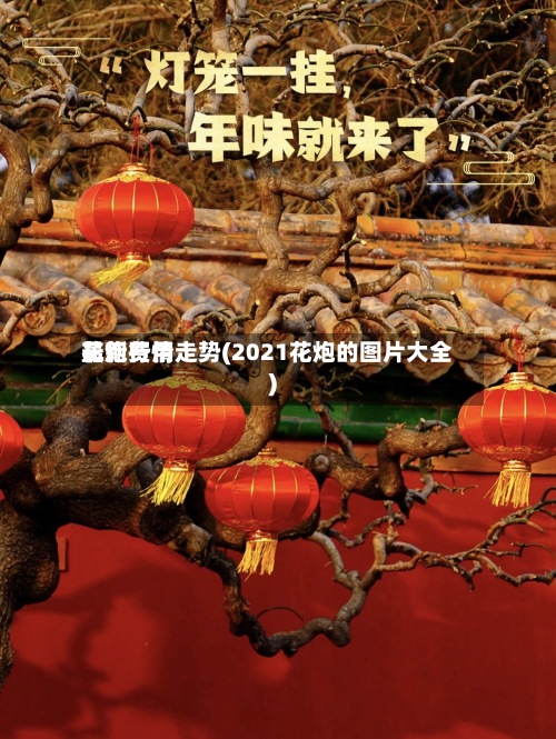 花炮费用
最新行情走势(2021花炮的图片大全)