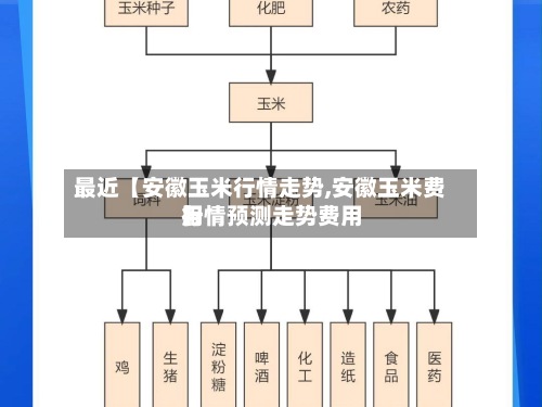最近【安徽玉米行情走势,安徽玉米费用
行情预测走势费用
】-第2张图片