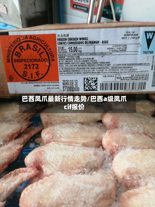 巴西凤爪最新行情走势/巴西a级凤爪cif报价
