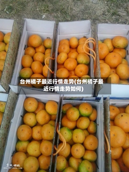 台州橘子最近行情走势(台州橘子最近行情走势如何)-第2张图片