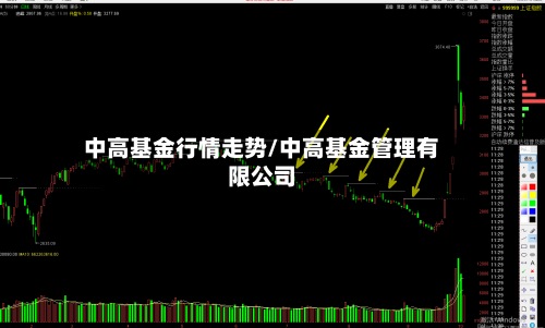 中高基金行情走势/中高基金管理有限公司-第2张图片