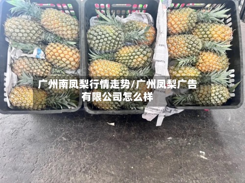 广州南凤梨行情走势/广州凤梨广告有限公司怎么样-第2张图片