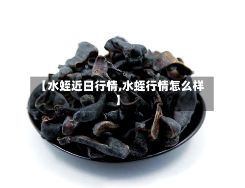 【水蛭近日行情,水蛭行情怎么样】