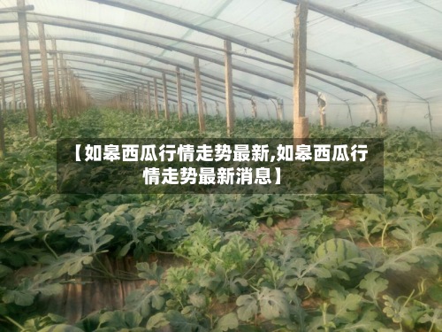 【如皋西瓜行情走势最新,如皋西瓜行情走势最新消息】-第3张图片