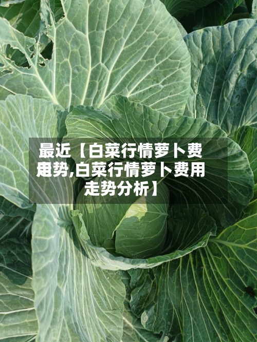 最近【白菜行情萝卜费用走势,白菜行情萝卜费用走势分析】