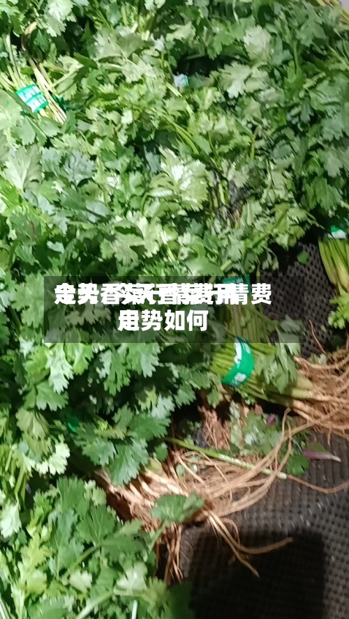 今天香菜行情费用走势/今天香菜行情费用走势如何