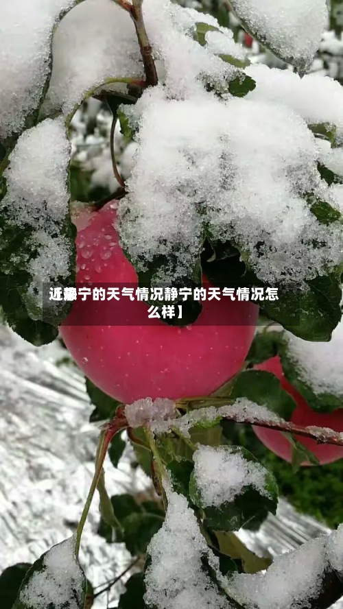 近来【静宁的天气情况静宁的天气情况怎么样】-第2张图片