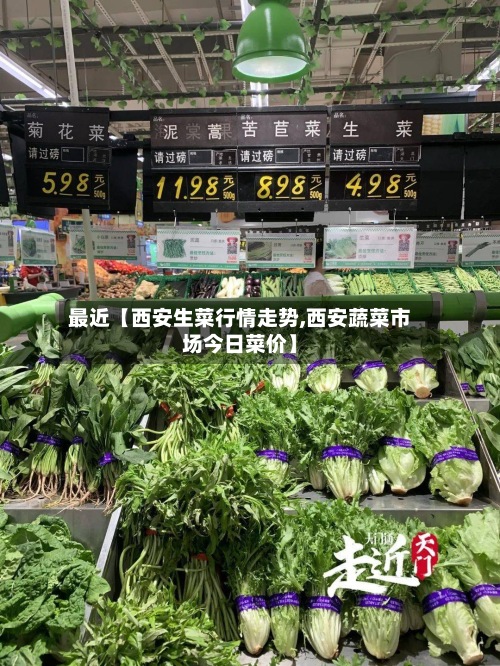 最近【西安生菜行情走势,西安蔬菜市场今日菜价】-第2张图片