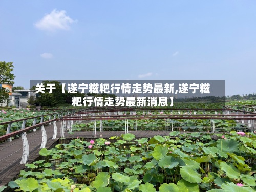 关于【遂宁糍粑行情走势最新,遂宁糍粑行情走势最新消息】-第2张图片