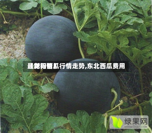 【龙阳西瓜行情走势,东北西瓜费用最新行情】