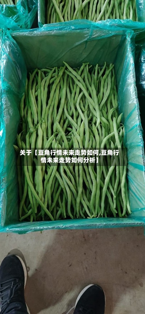 关于【豆角行情未来走势如何,豆角行情未来走势如何分析】