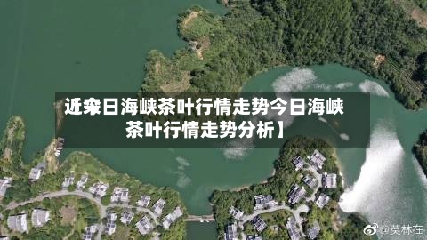 近来【今日海峡茶叶行情走势今日海峡茶叶行情走势分析】-第2张图片