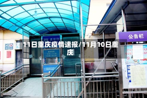 11日重庆疫情速报/11月10日重庆-第2张图片