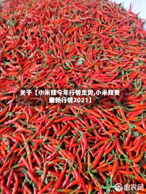 关于【小米辣今年行情走势,小米辣费用最新行情2021】