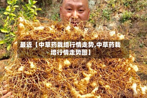 最近【中草药栽培行情走势,中草药栽培行情走势图】