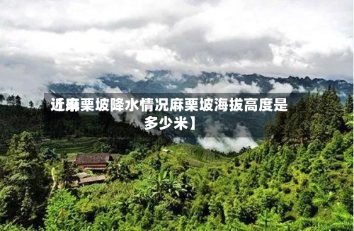 近来【麻栗坡降水情况麻栗坡海拔高度是多少米】-第3张图片