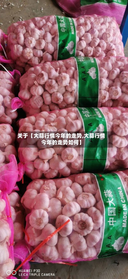 关于【大蒜行情今年的走势,大蒜行情今年的走势如何】