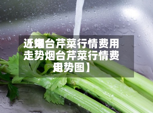 近来【烟台芹菜行情费用走势烟台芹菜行情费用走势图】-第3张图片