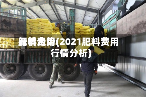 肥料费用行情走势(2021肥料费用行情分析)