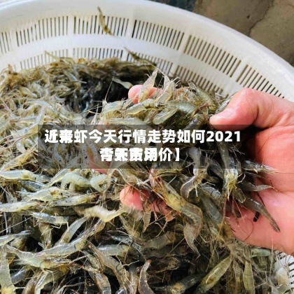 近来
【青虾今天行情走势如何2021青虾费用
今天市场价】