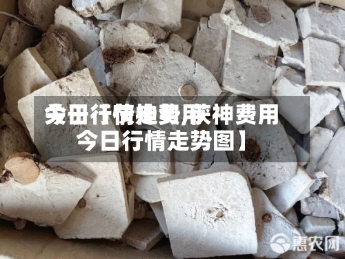 关于【茯神费用今日行情走势,茯神费用今日行情走势图】