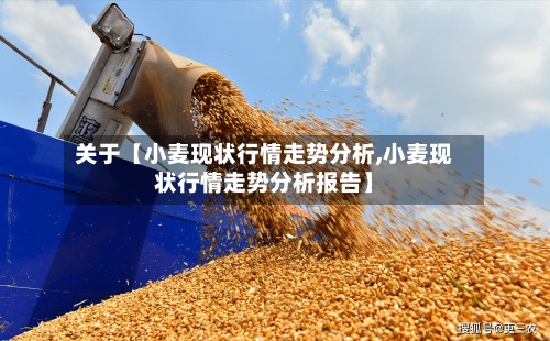 关于【小麦现状行情走势分析,小麦现状行情走势分析报告】