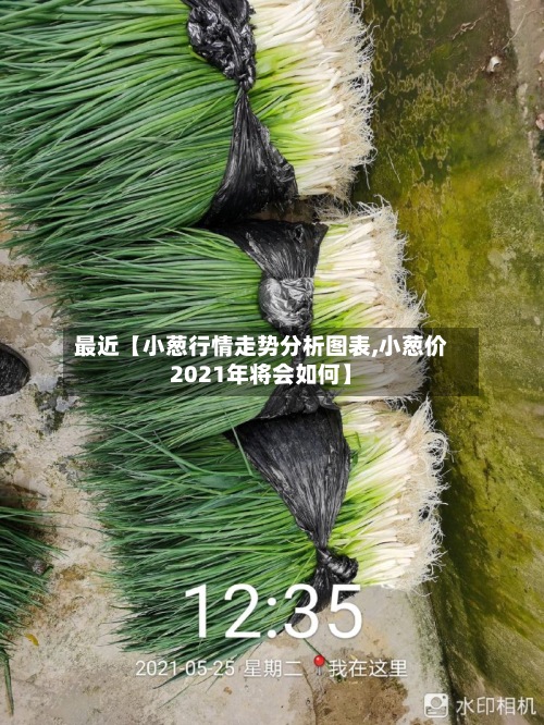 最近【小葱行情走势分析图表,小葱价2021年将会如何】