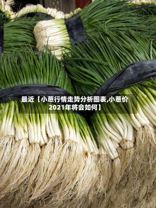 最近【小葱行情走势分析图表,小葱价2021年将会如何】-第2张图片