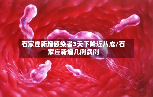 石家庄新增感染者3天下降近八成/石家庄新增几例病例