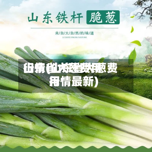 山东省大葱费用行情(山东省大葱费用行情最新)-第2张图片