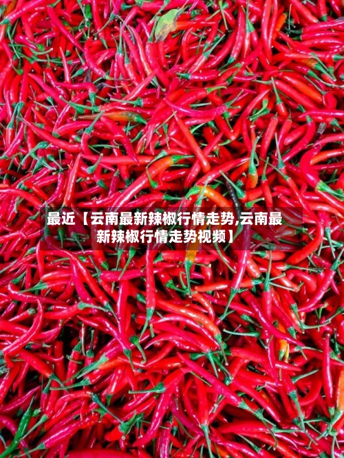 最近【云南最新辣椒行情走势,云南最新辣椒行情走势视频】