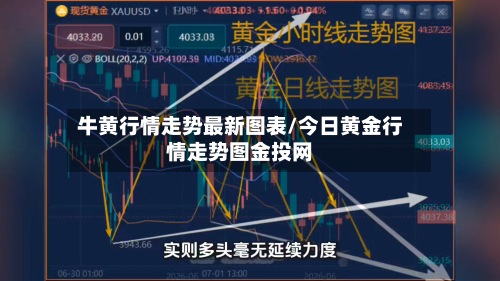 牛黄行情走势最新图表/今日黄金行情走势图金投网