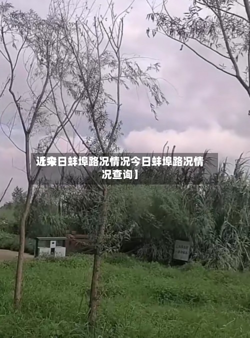 近来【今日蚌埠路况情况今日蚌埠路况情况查询】-第2张图片